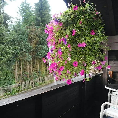 Spacious In With A Balcony Apartman