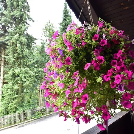 Apartman Spacious In With A Balcony Drachselsried